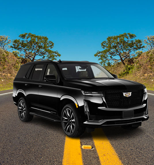 detroit airport car service